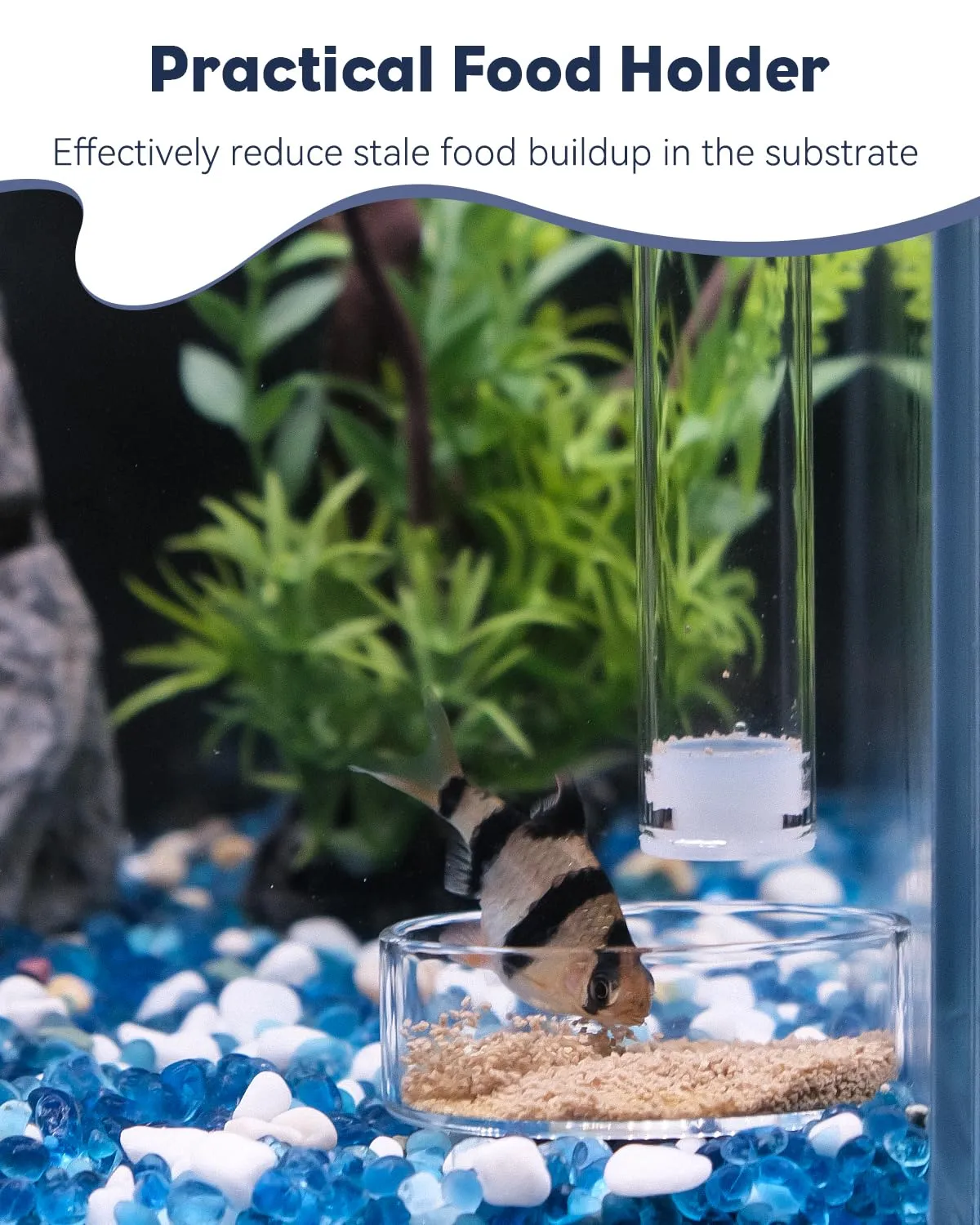 Pawfly tubo alimentazione pesci vetro 20 cm con ciotola