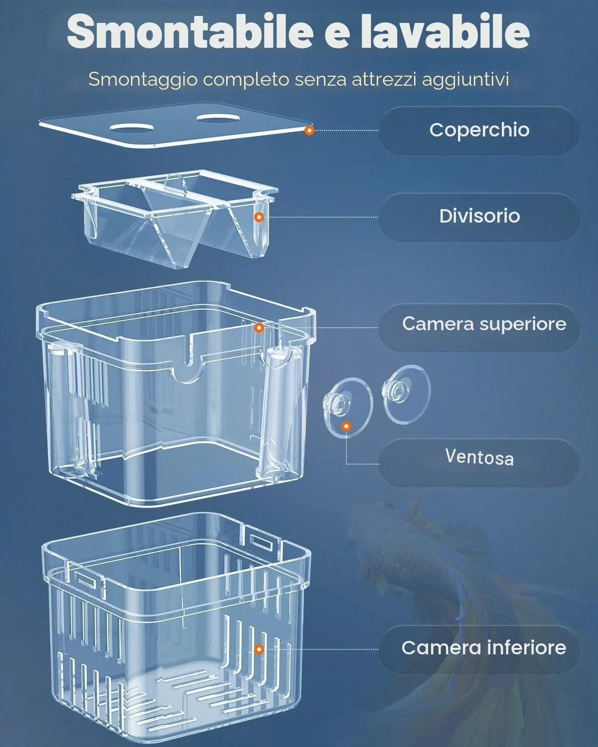 Pawfly Box Allevamento 10x7x13 cm per Avannotti 2 Camere