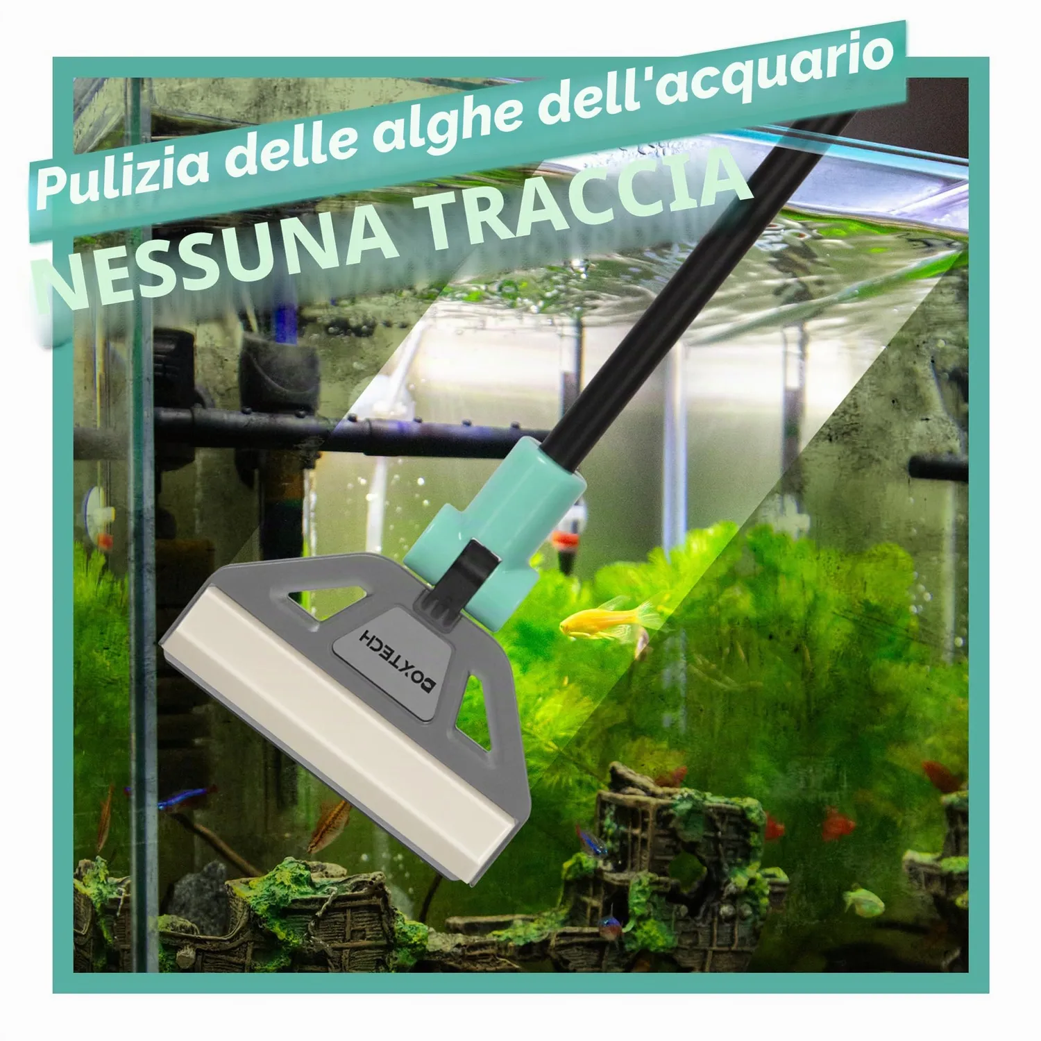 boxtech Raschietto Alghe 50 cm con 5 Lame Acciaio