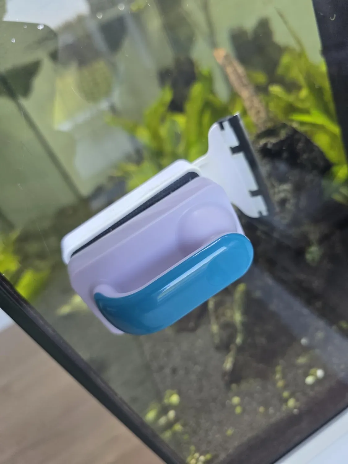 Pawfly spazzola magnetica acquario vetro 7,5 cm raschietto