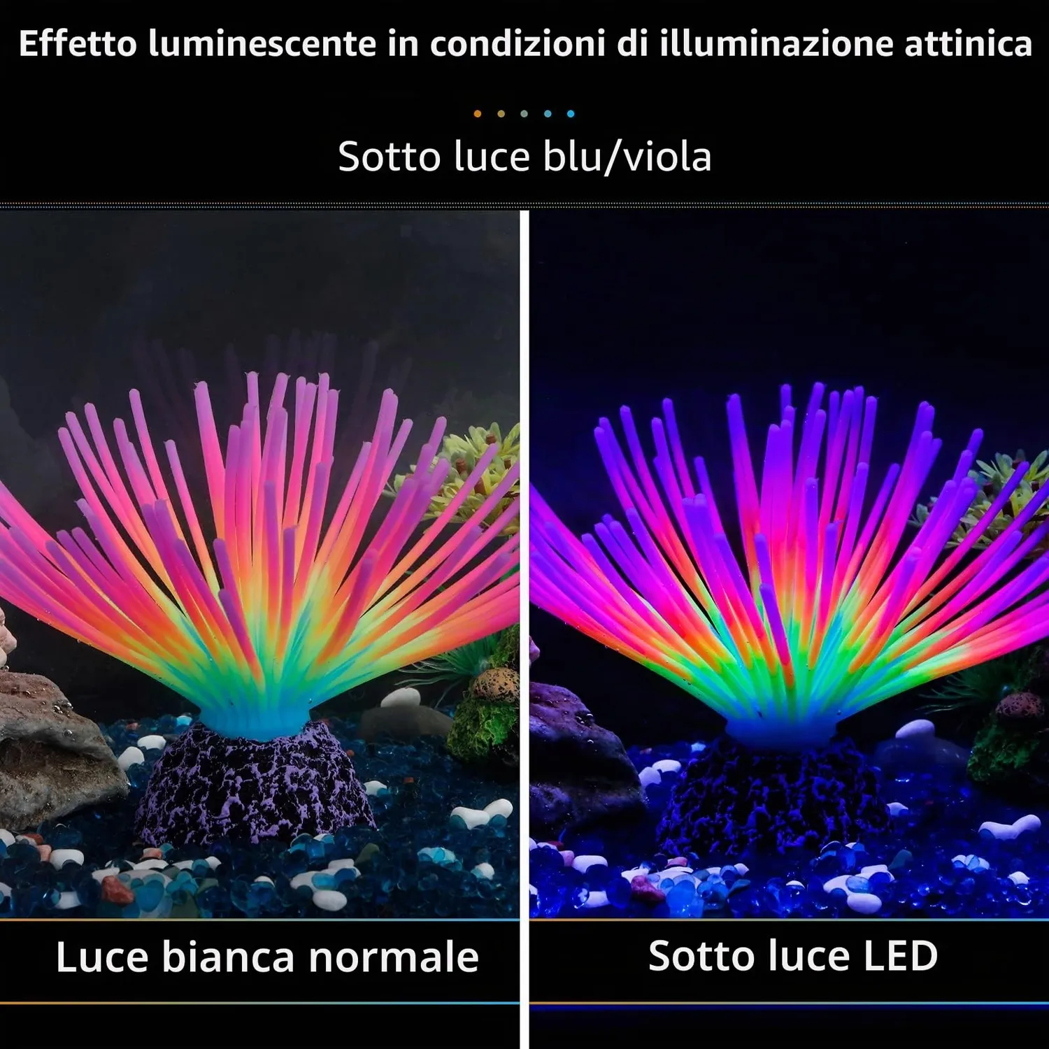 Pawfly Riccio di Mare Arcobaleno decorazione acquario silicone
