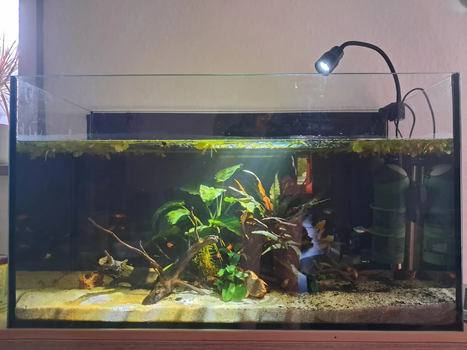 Boxtech lampada LED acquario zoom 10W 3 colori fascio