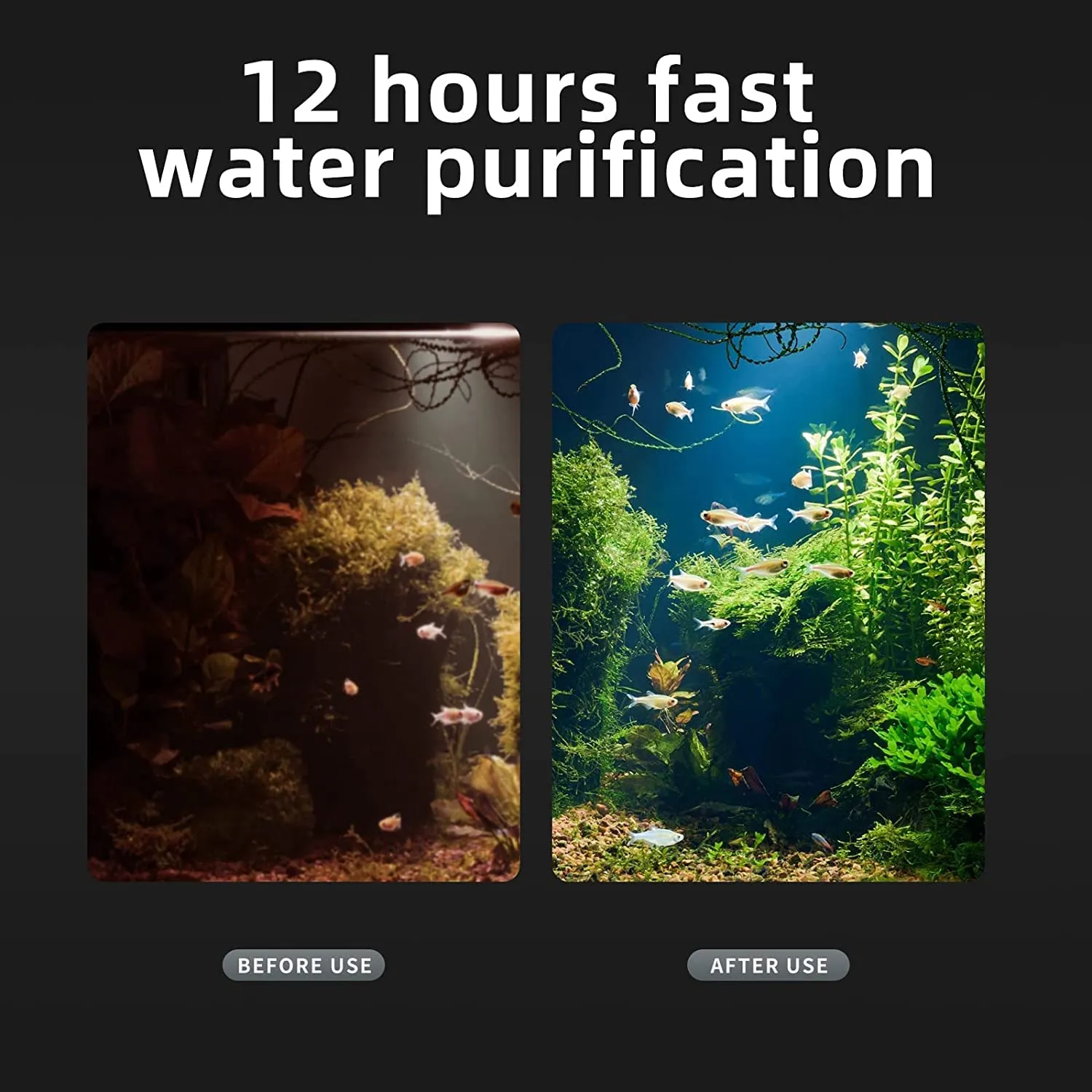 boxtech cannolicchi ceramica 2L filtro biologico acquario