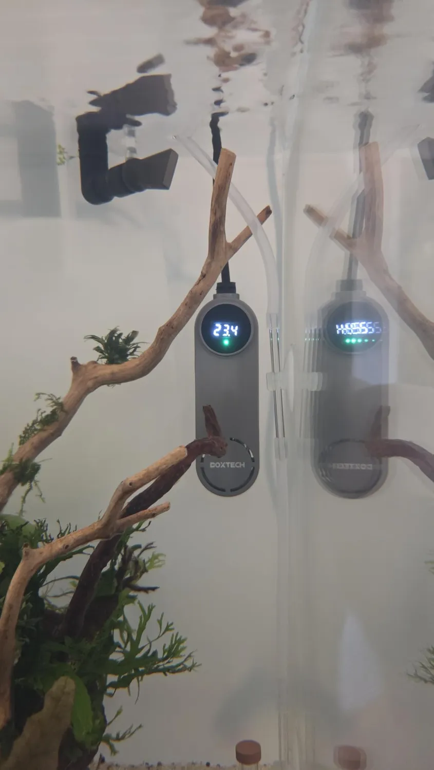 boxtech riscaldatore acquario 75W display digitale