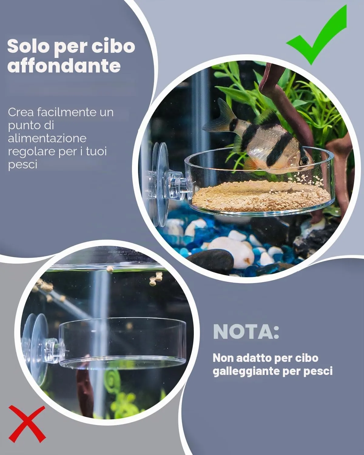 Pawfly mangiatoia gamberetti acquario acrilico 6 cm