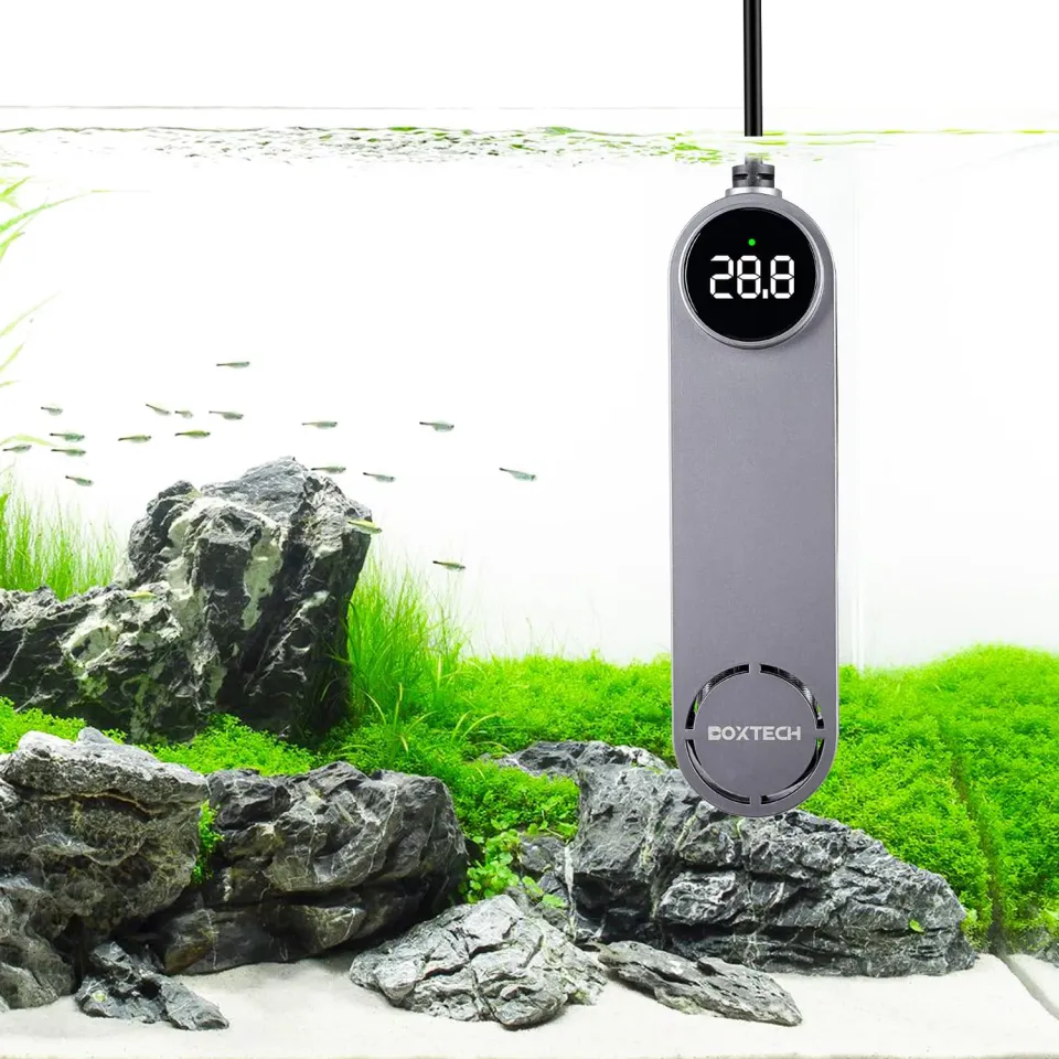 boxtech Mini riscaldatore acquario 50W display 20-34°C
