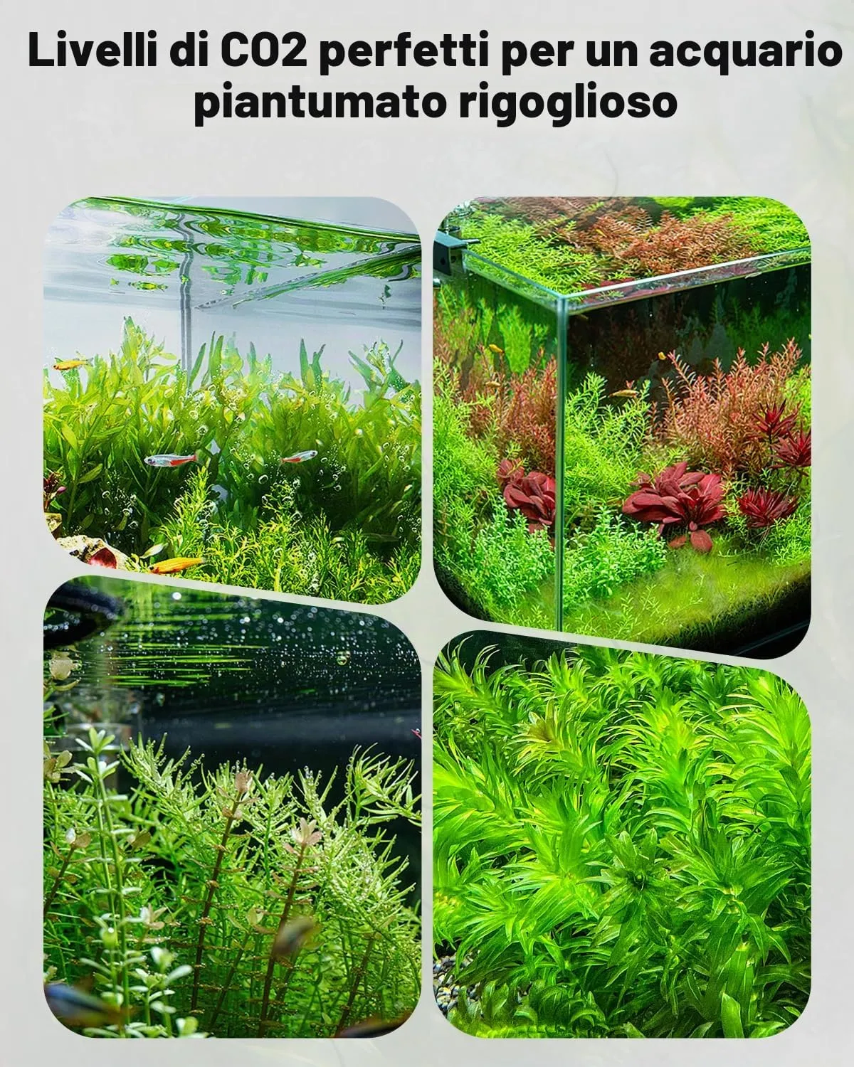Pawfly Regolatore CO2 doppio manometro elettrovalvola acquario