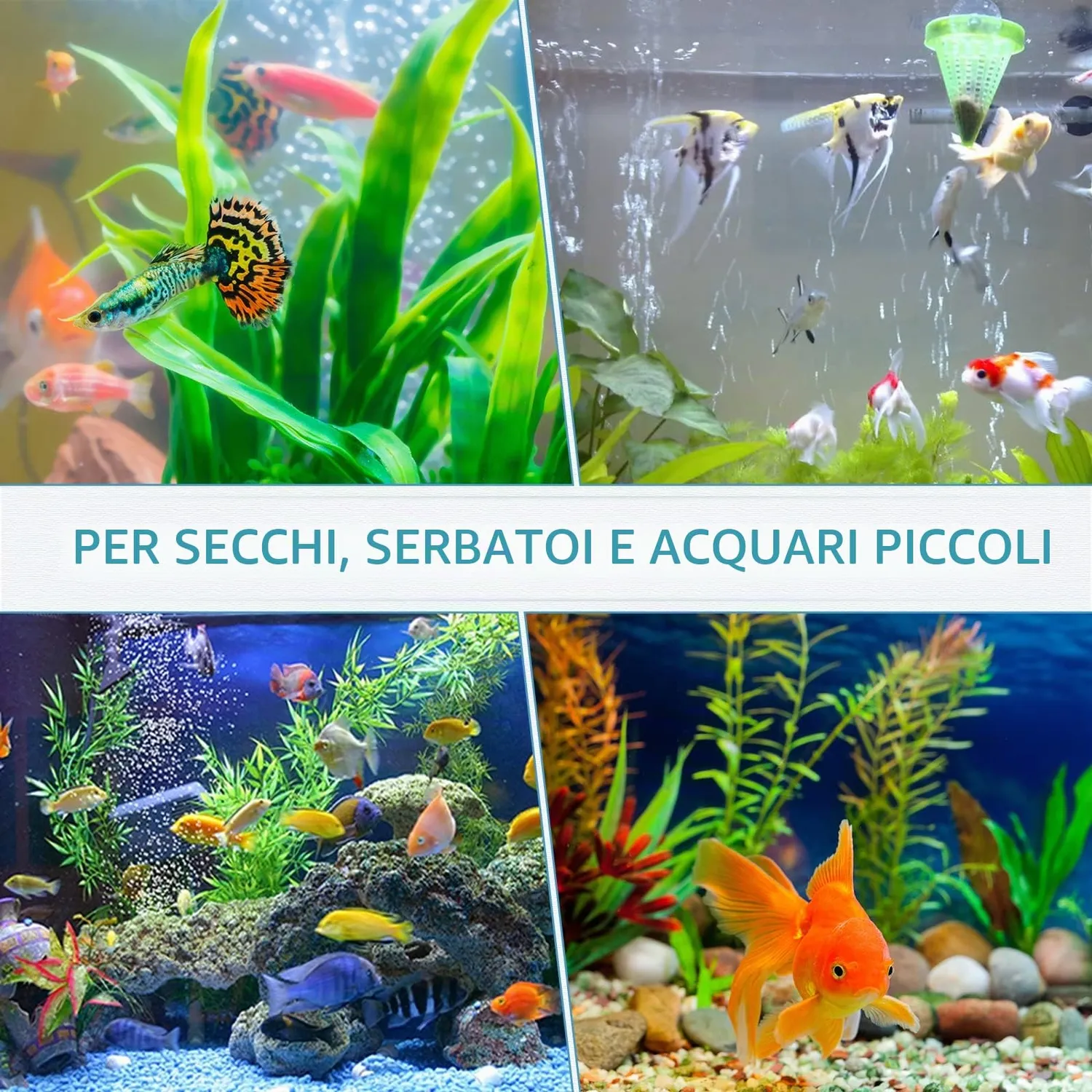 Pawfly ASR-020 Pietre Porose 2 cm 10 Pezzi per Nano Acquari