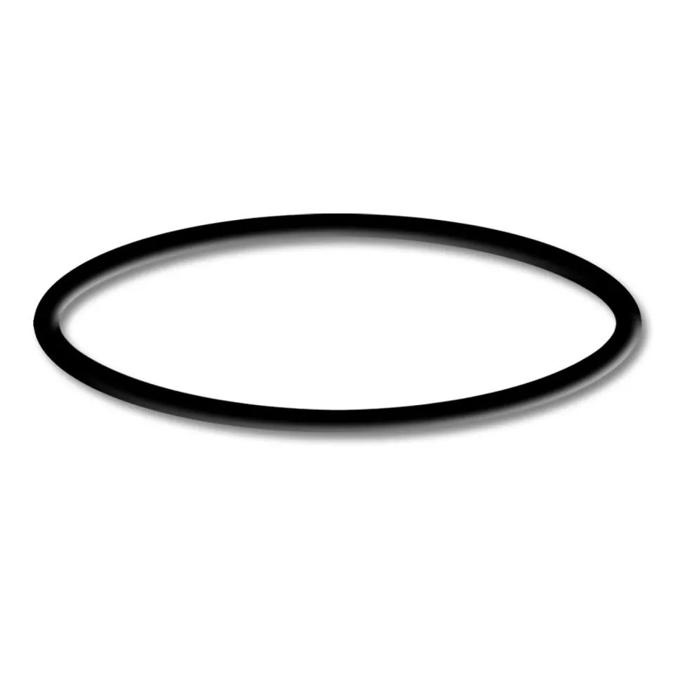 SunSun CPF-2500 o-ring 5 guarnizione ricambio nera