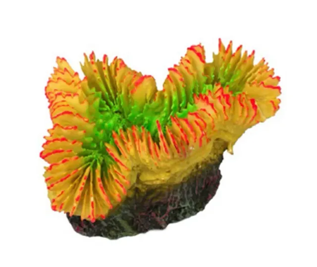 Aquariatech Plerogyra Yellow Tipo 2 corallo resina 9x6x5