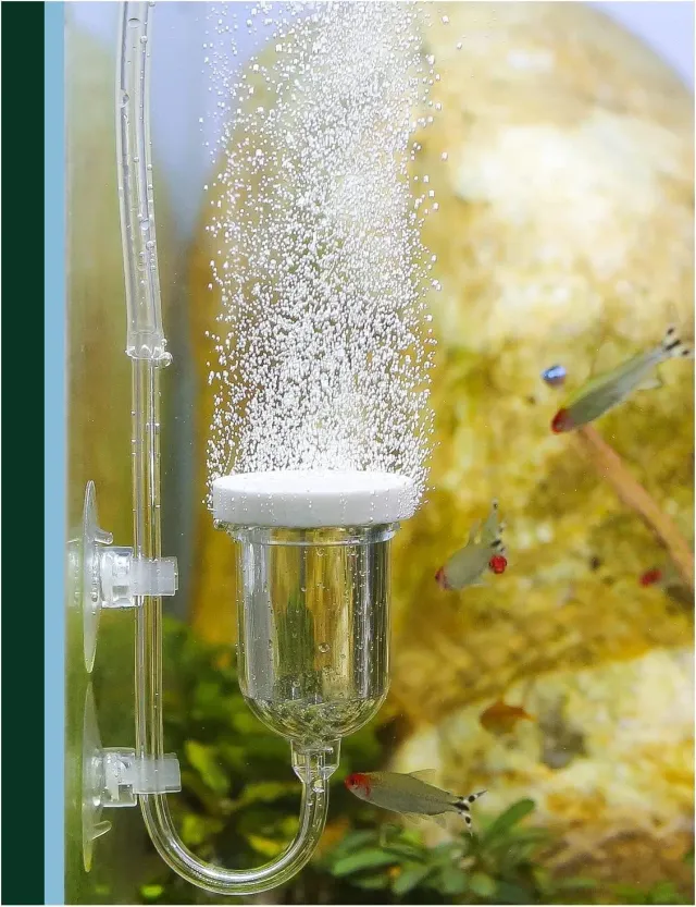 boxtech Pietra Aria Acquario Diffusore Nano 35 mm con Valvola