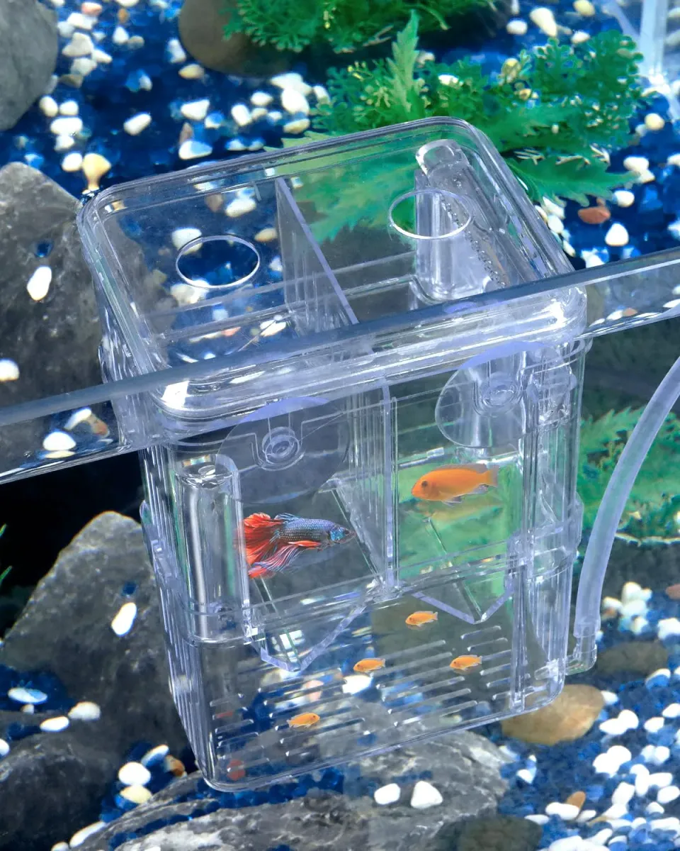 Pawfly Box Allevamento Acquario S 10x8x13 cm Trasparente