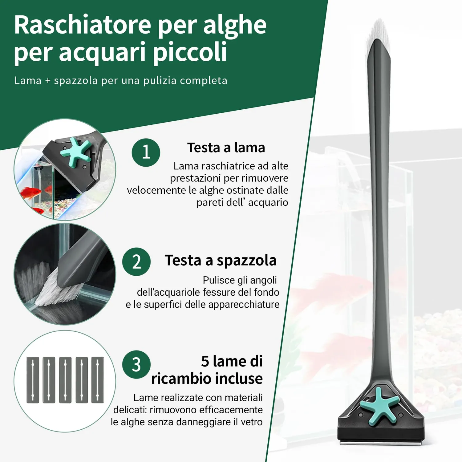 boxtech raschiatore alghe vetro 2 in 1 regolabile