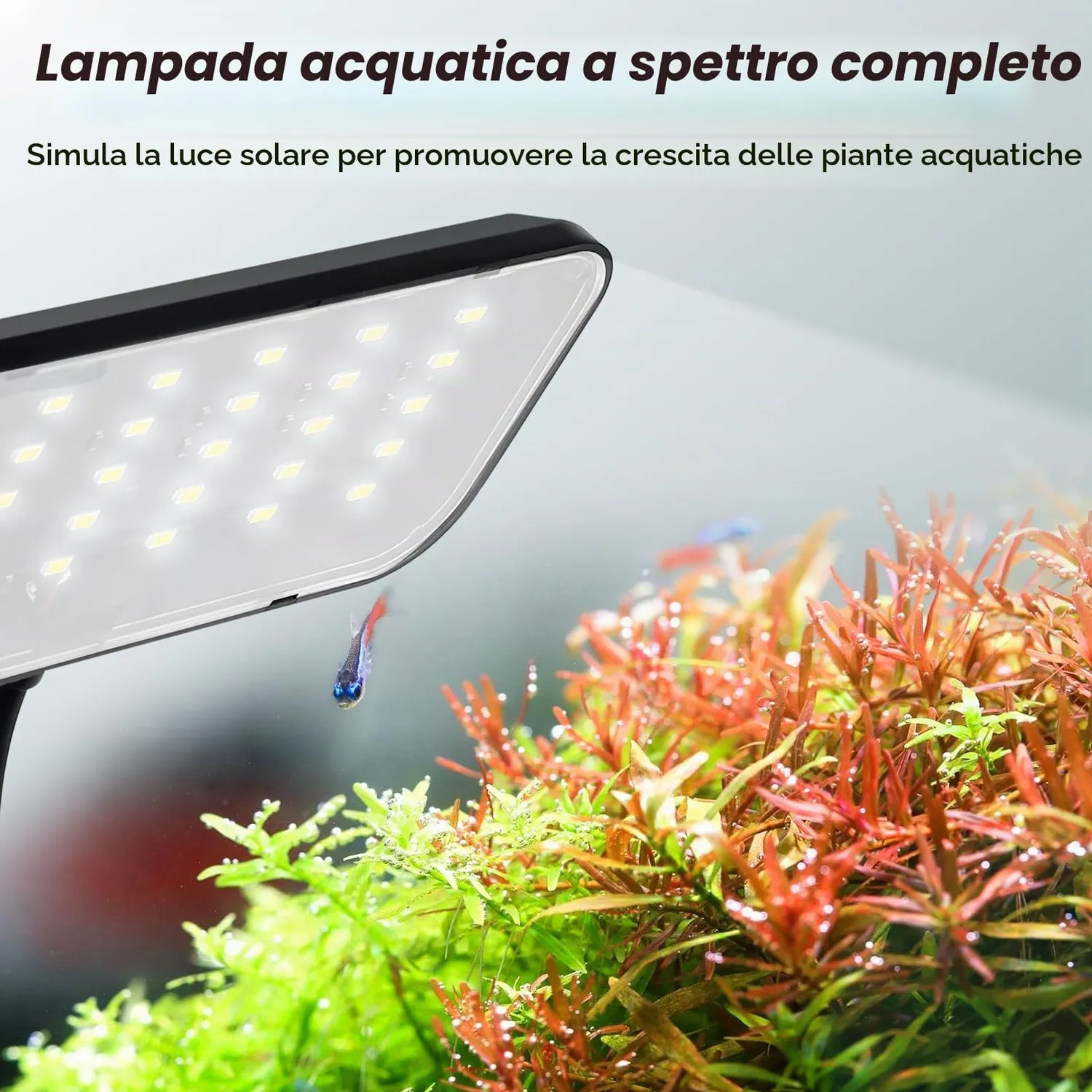 boxtech Lampada LED Acquario 8W Spettro Completo Clip
