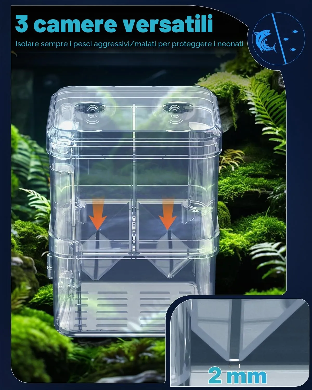 Pawfly Box Allevamento Acquario S 10x8x13 cm Trasparente