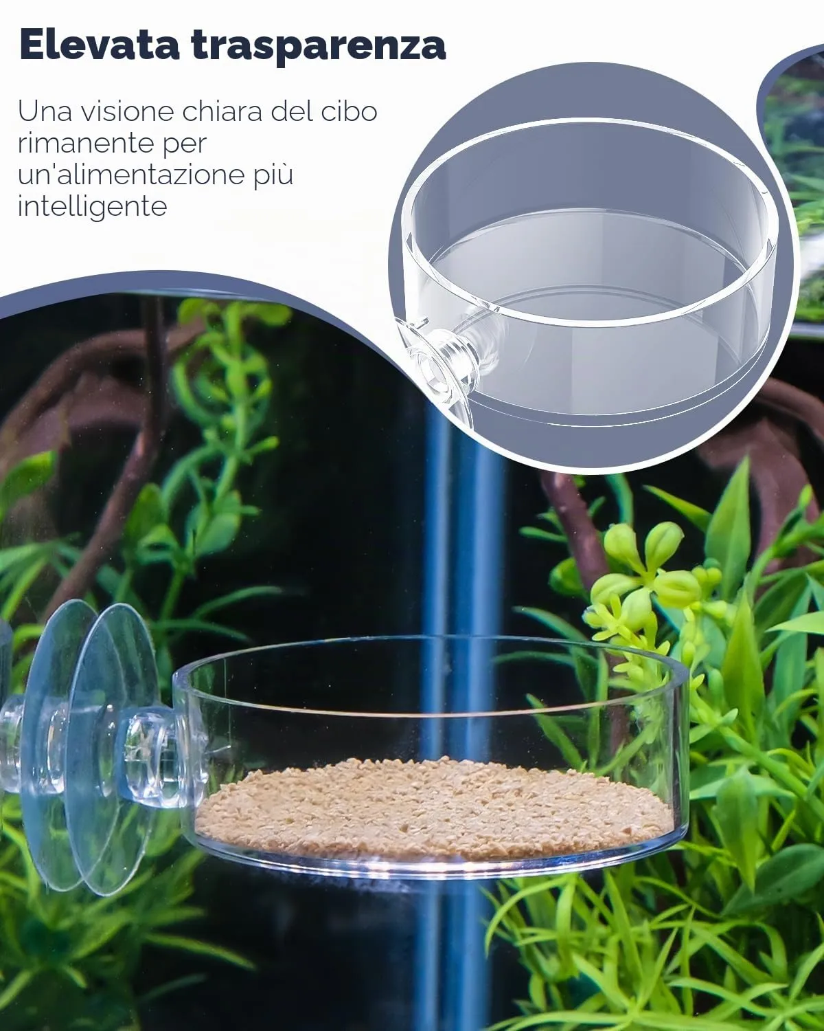 Pawfly mangiatoia gamberetti acquario acrilico 6 cm