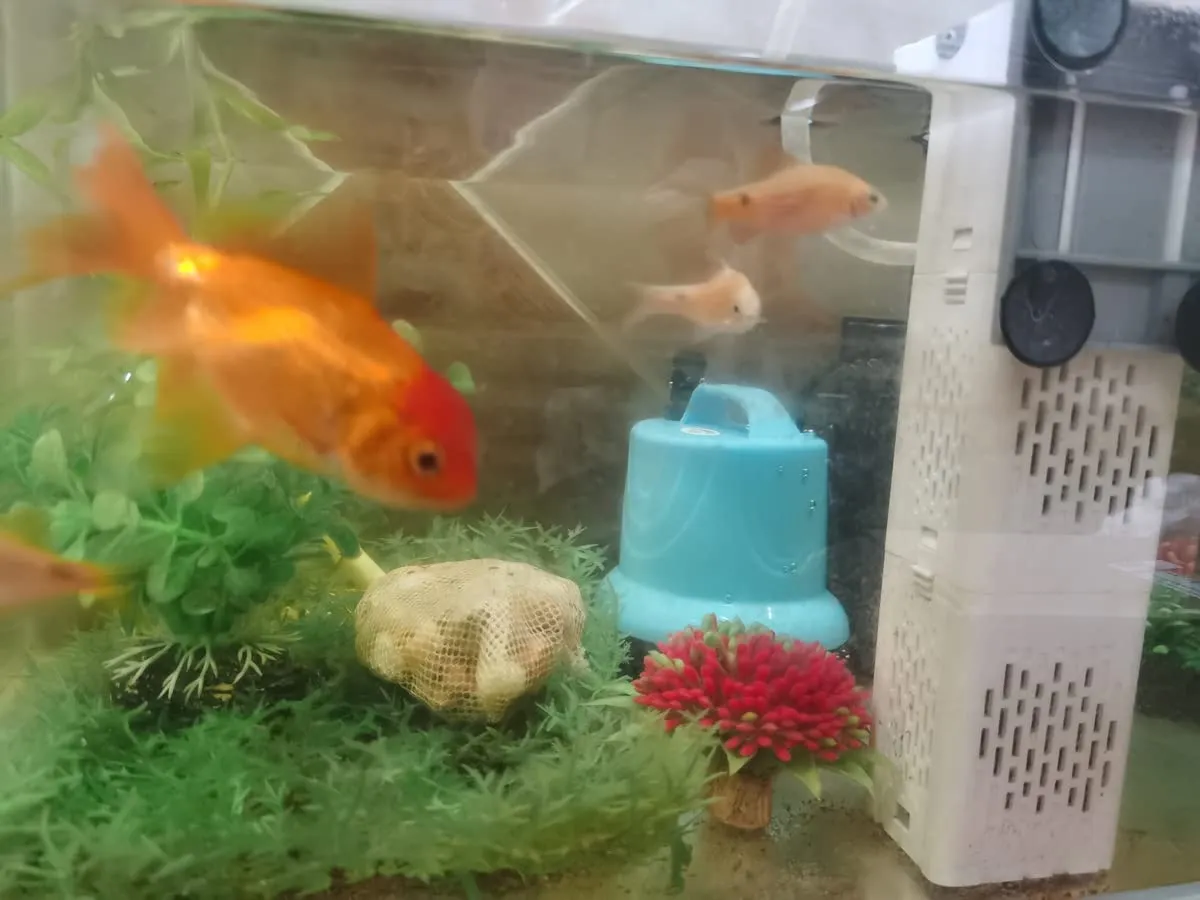 LONDAFISH Pompa Acquario Blu 15W 1080 l/h