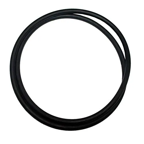 SunSun CPF-180 CPF-250 guarnizione coperchio O-ring ricambio